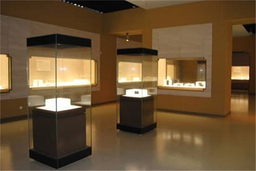 隆城展示 深圳博物馆展柜定制与品质安装服务详解